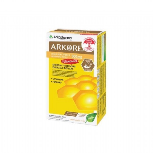 Arkoreal jalea real vitaminada 500 20 ampollas